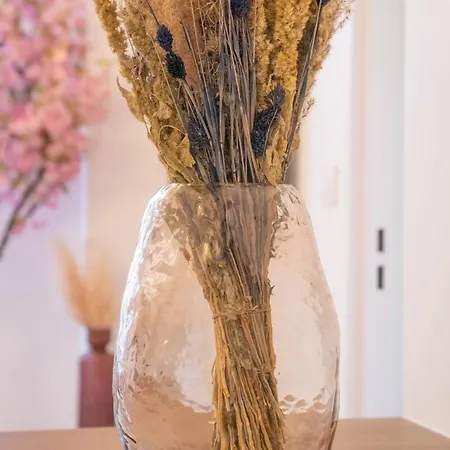 アパート La Rose Des Vents ヴィシー